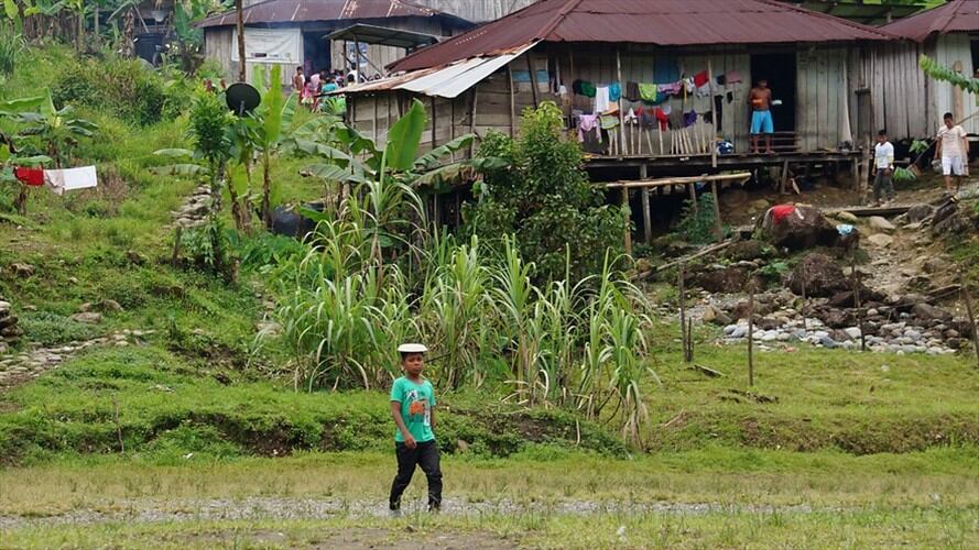 Ordenan la restitución de miles de hectáreas de tierra a familias afrodescendientes en Chocó / imagen de referencia. Foto: Colprensa