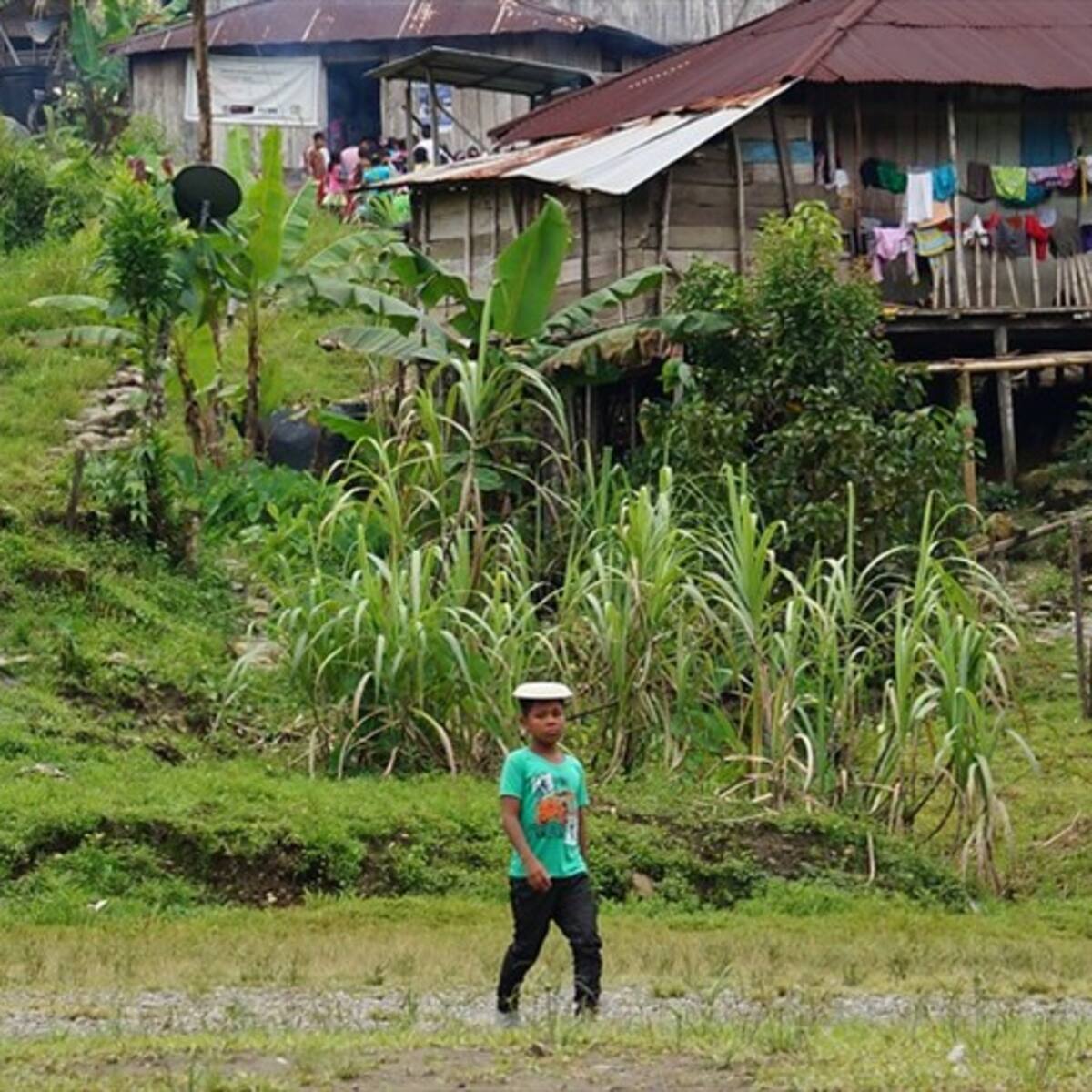 Informe raja al estado en indemnizaciones a víctimas del conflicto y restitución de tierras