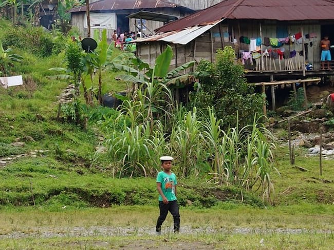 Ordenan la restitución de miles de hectáreas de tierra a familias afrodescendientes en Chocó / imagen de referencia. Foto: Colprensa