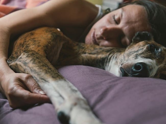 Un estudio determinó que dormir con los animales hace sentir seguridad y tranquilidad a los humanos.. Foto: Getty Images