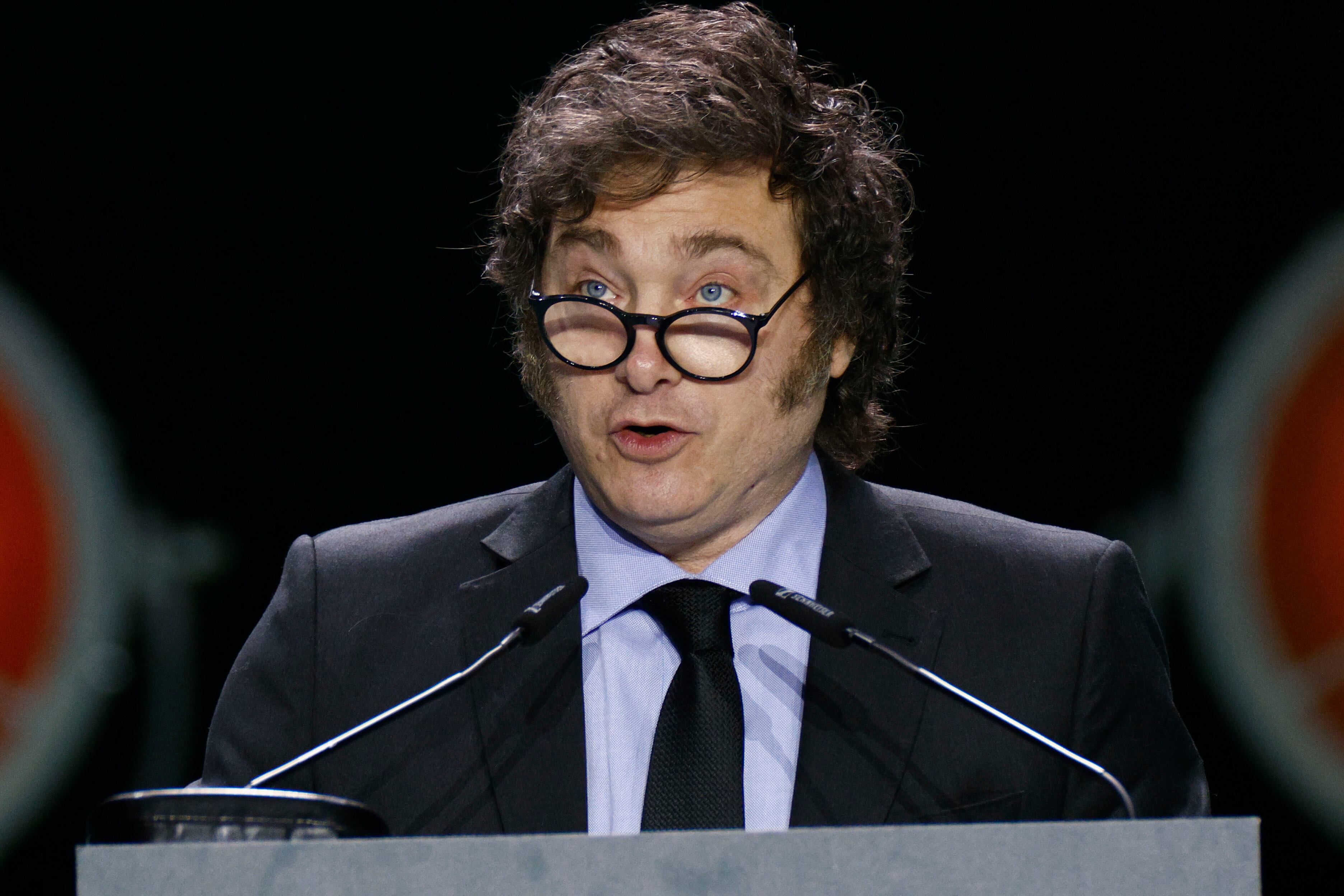 Javier Milei. Foto: EFE/Rodrigo Jiménez