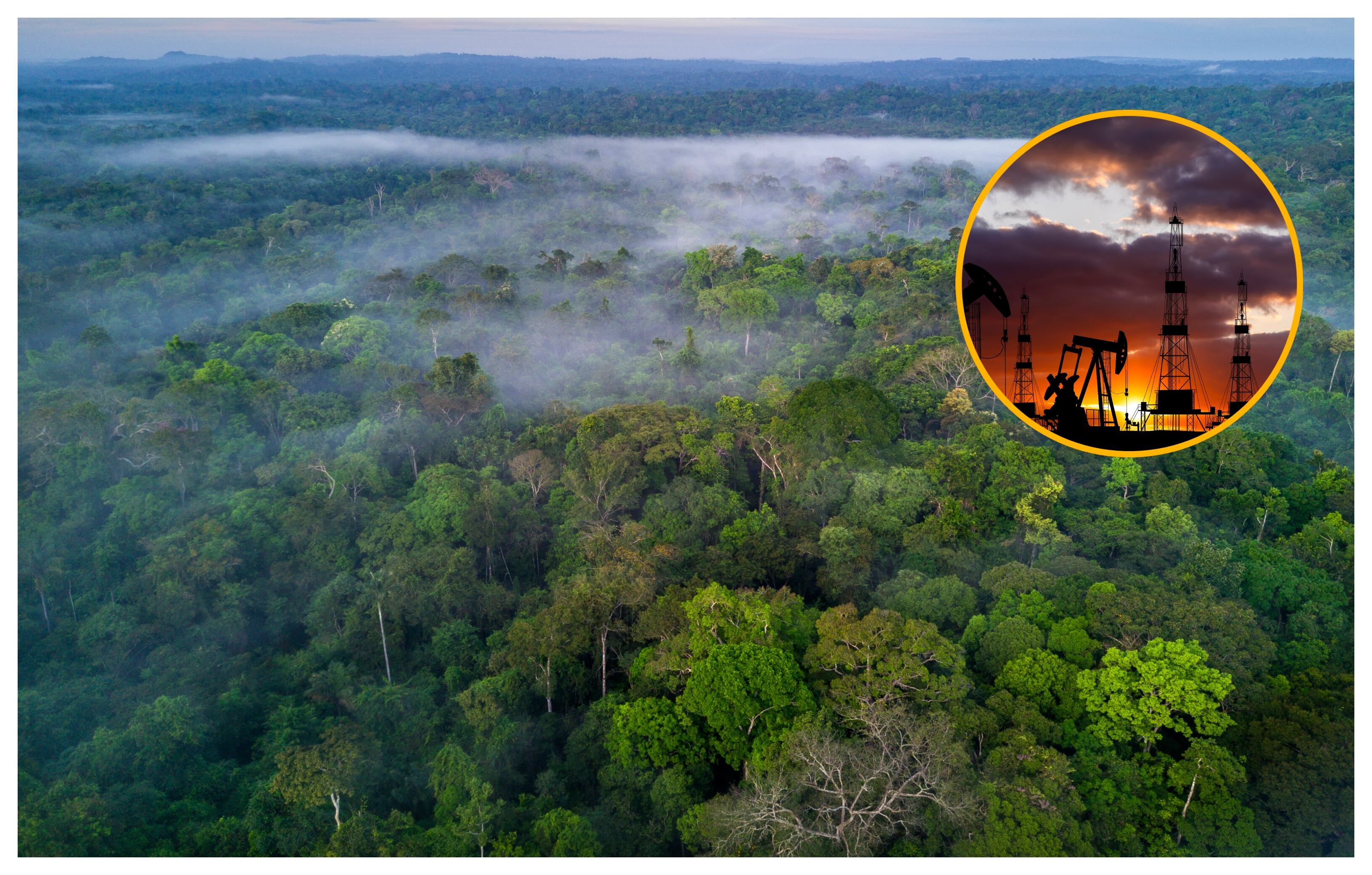 Imágenes de referencia. Getty Images.