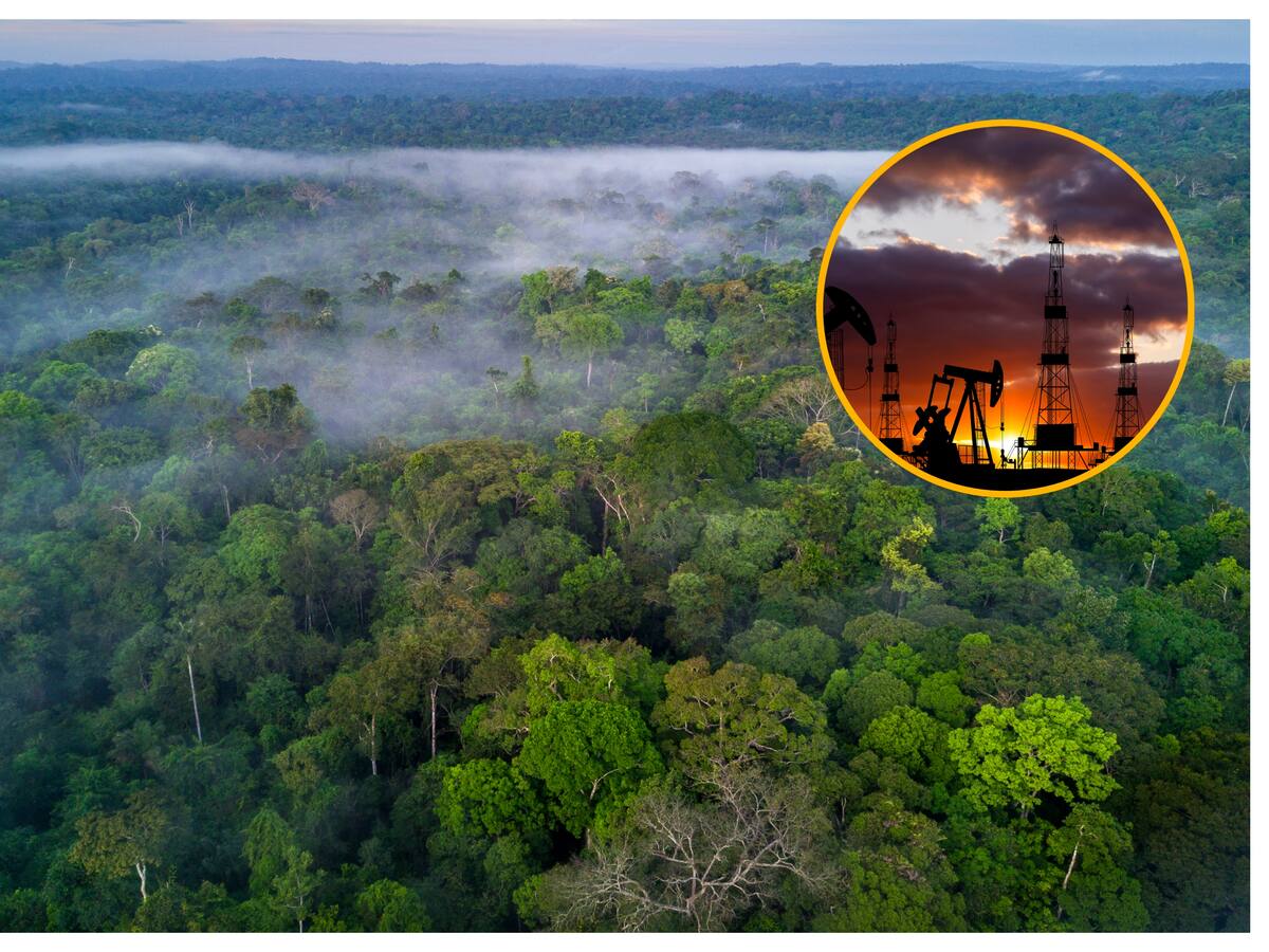 Congresistas de Colombia, Ecuador y Perú exigieron cese de actividad petrolera en Amazonia