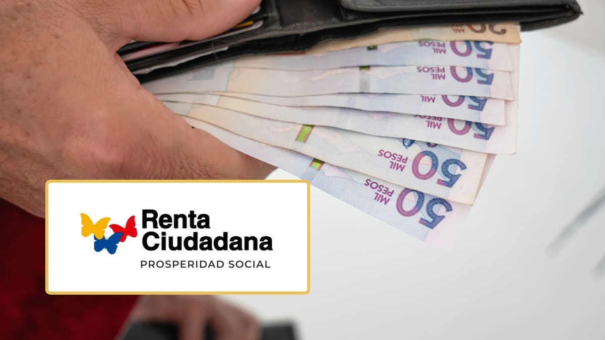 ¿Aparece como ‘Suspendido’ o ‘Inactivo’ en la Renta Ciudadana? Esto significa