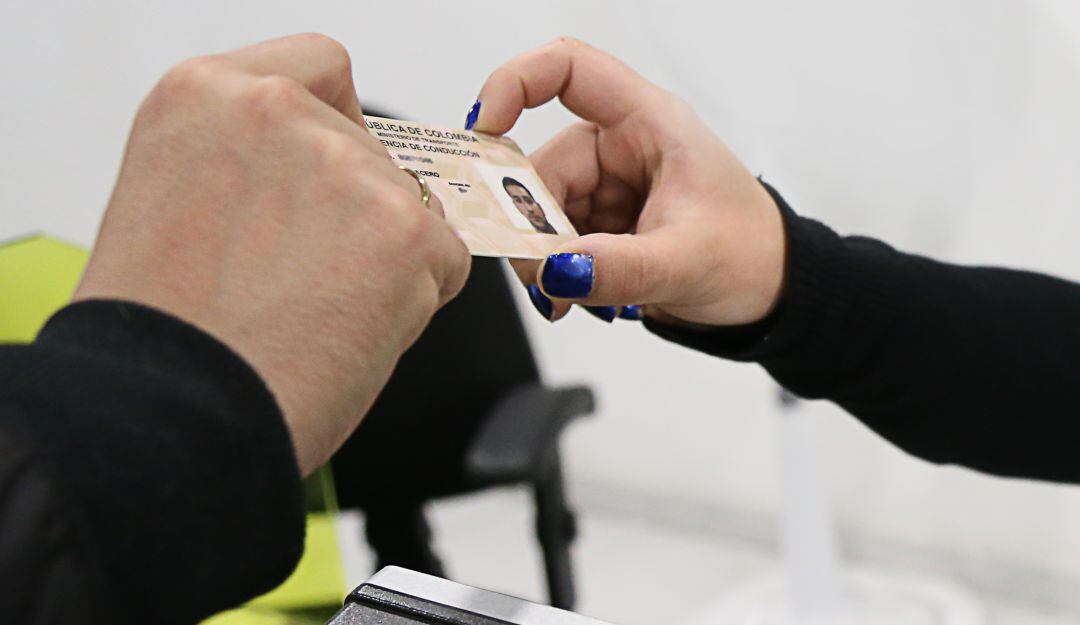 Licencias de conducción. Foto: Colprensa