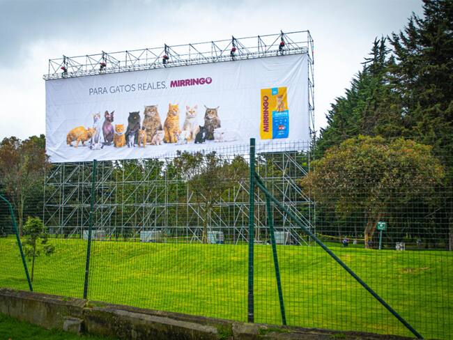 Cortesía: Mirringo.