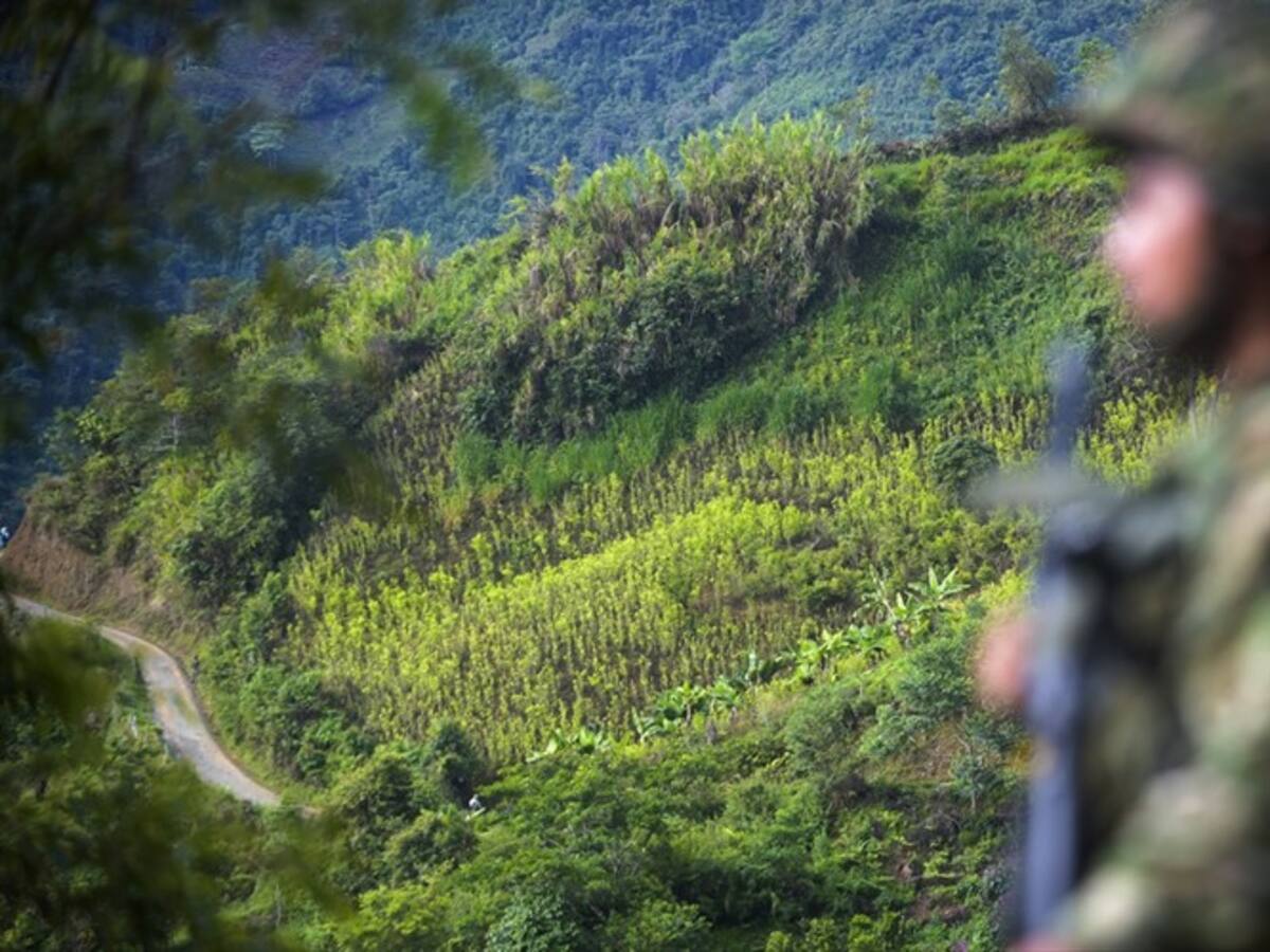 Autoridades analizarán situación de orden público en el Catatumbo