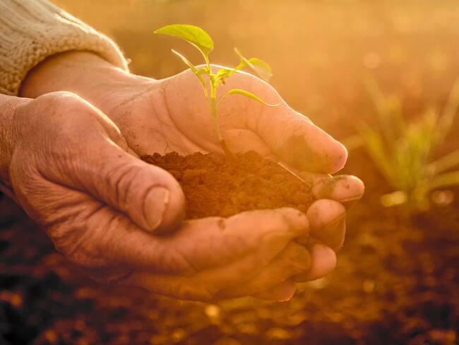 Cortesía: Shutterstock