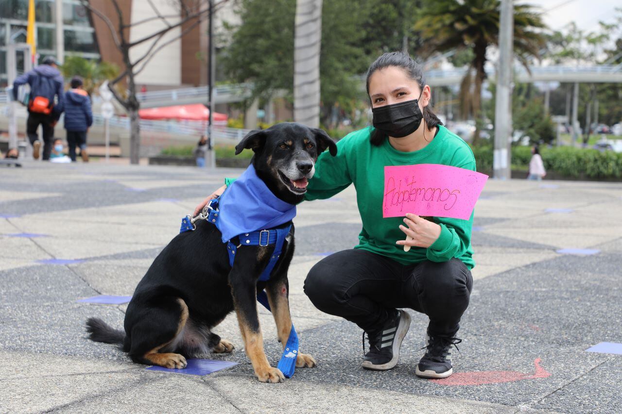 Adopción imagen de referencia. Foto: Suministrada.