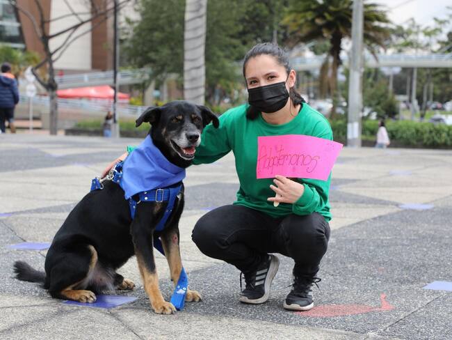 Adopción imagen de referencia. Foto: Suministrada.