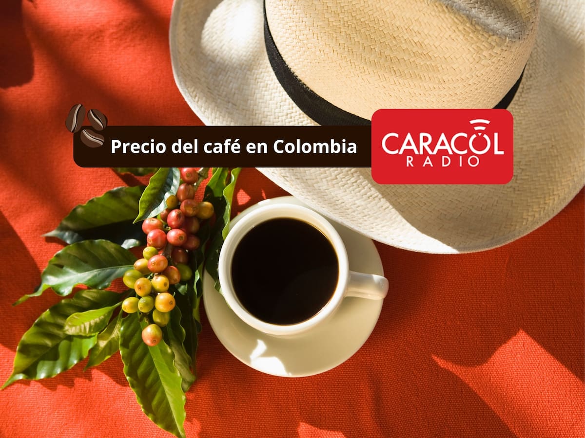 Precio del café HOY 2 de marzo de 2026 en Colombia según la FNC: Leve aumento a inicio de semana