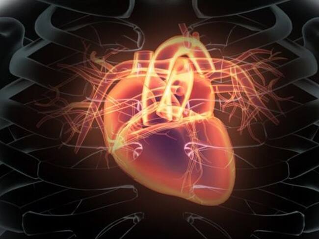 El estudio concluyó que los hombres con niveles más altos de troponina en la sangre tenían mayor probabilidad de sufrir un ataque al corazón. Imagen tomada de BBC Mundo.