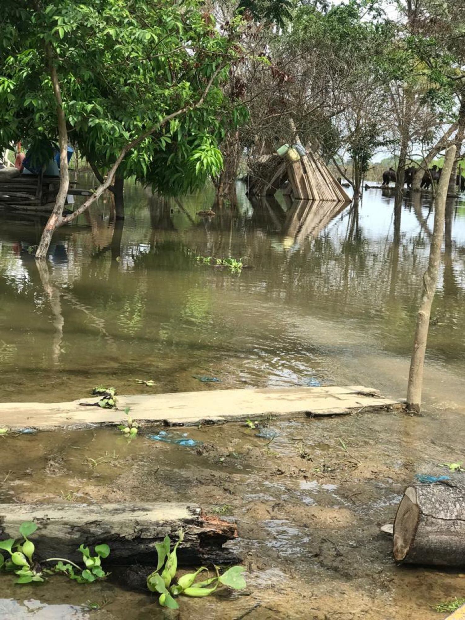 Nos sentimos abandonados: damnificados por las inundaciones en Córdoba. Foto: cortesía.
