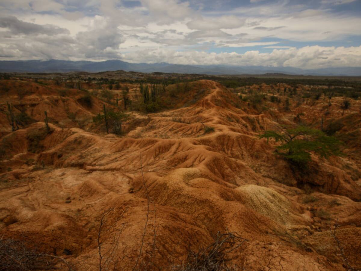 “Somos apasionados del ciclismo”: Diana Herrera sobre la Tatacoa Race