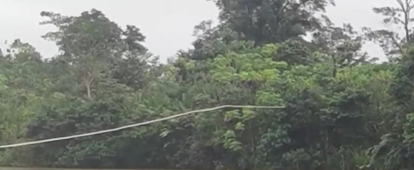 Manguera del Acueducto de Puerto Murillo. Foto: Captura de video