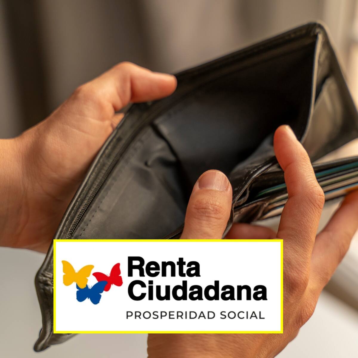 Renta Ciudadana: Estos son los únicos motivos por los que lo pueden suspender