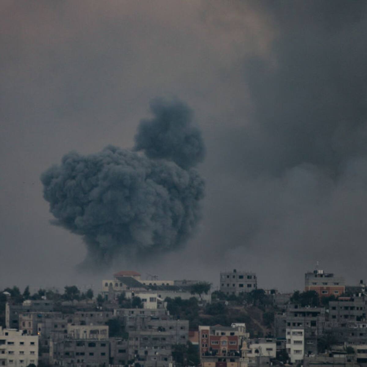 Los verdaderos terroristas son los de Israel: exportavoz del Gobierno de Palestina