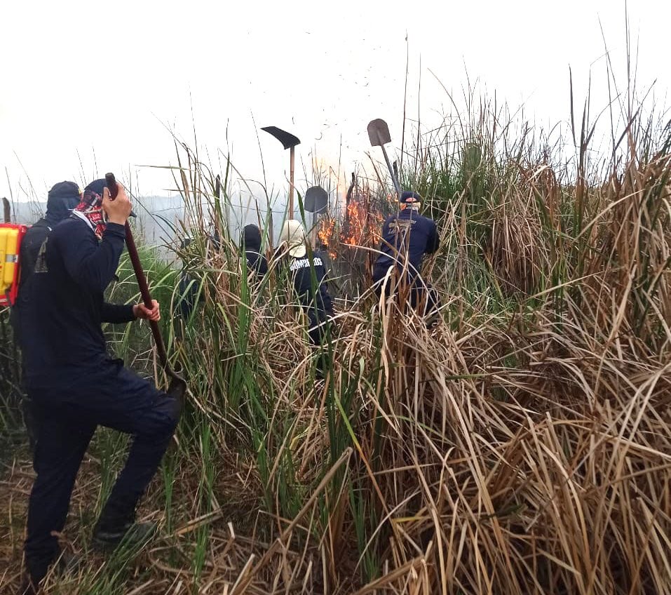 Incendio en el Parque Isla Salamanca. Foto: cortesía Corpamag.