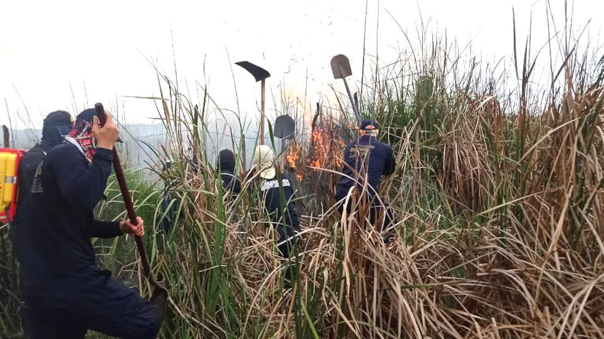 Firman alianza para la prevención de incendios forestales em Sitionuevo, Magdalena
