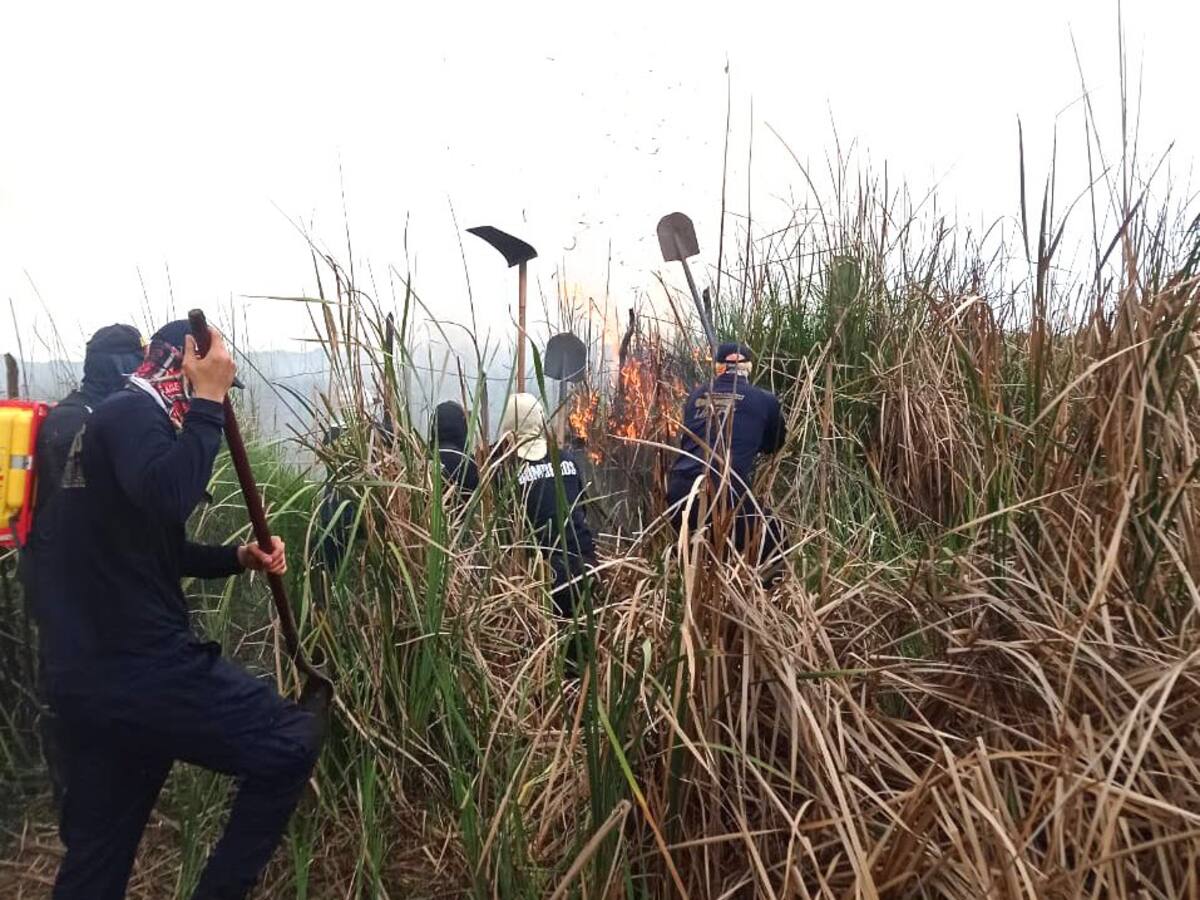 Firman alianza para la prevención de incendios forestales em Sitionuevo, Magdalena