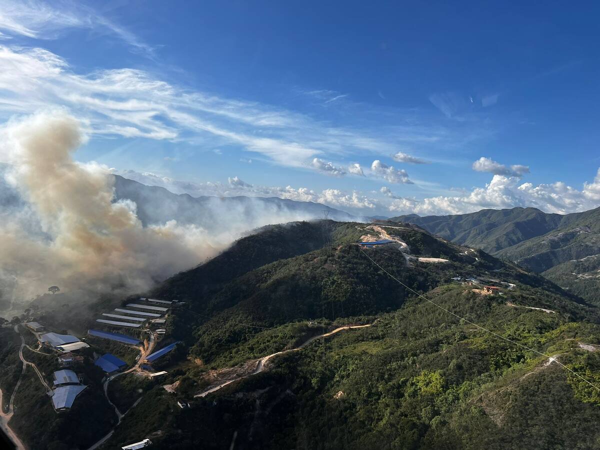 Incendio forestal ha consumido más de 50 hectáreas de vegetación en Ocaña