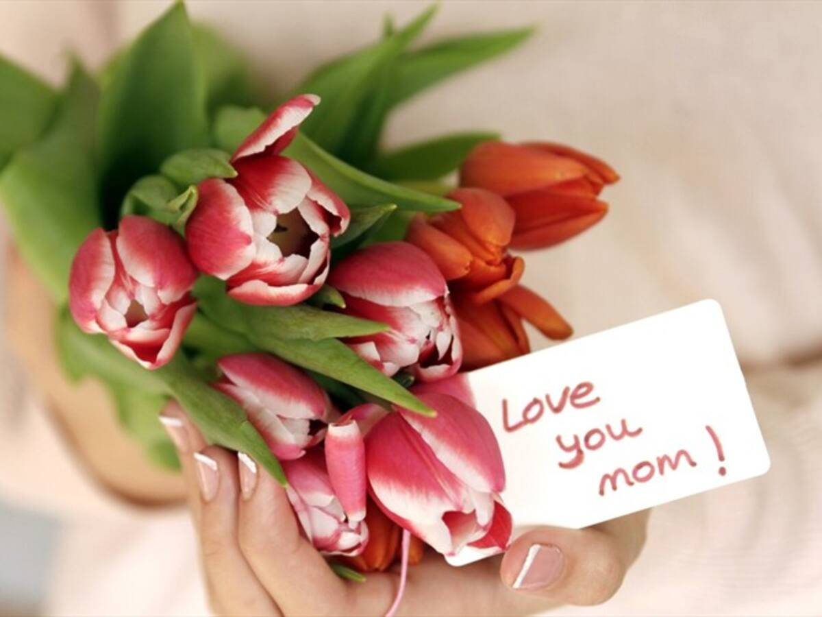 ¿Qué se estará preguntando Ibarra?