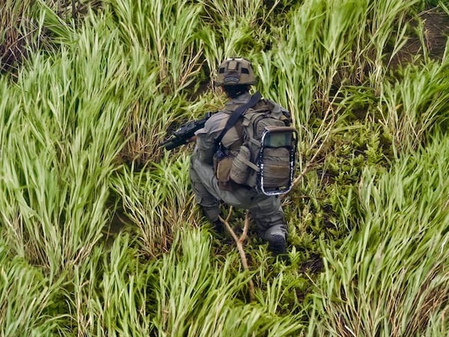Preocupado se encuentra el Ejército Nacional luego de que varios soldados presentaran graves afectaciones de salud. Foto: Getty Images
