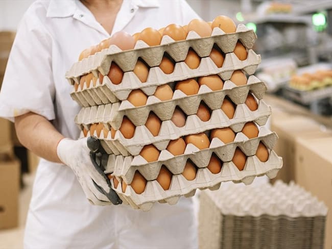 Fenavi explicó las razones del incremento en los precios del huevo y el pollo. Foto: Colprensa