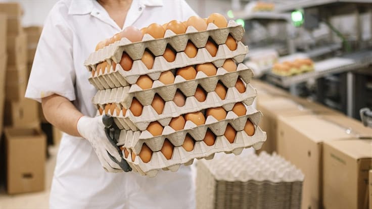 Fenavi explicó las razones del incremento en los precios del huevo y el pollo. Foto: Colprensa