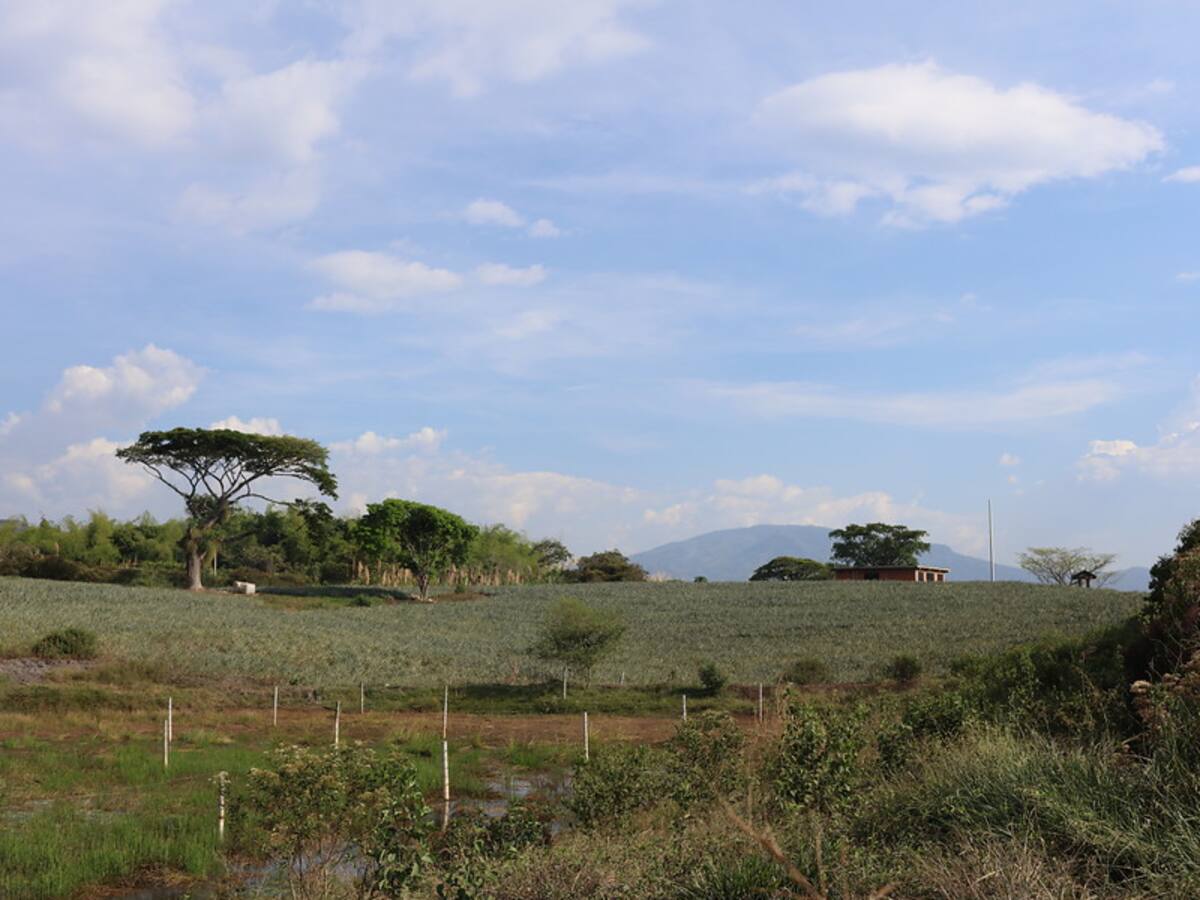 JEP vincula al empresario Luis Gonzalo Gallo por despojo de tierras en Urabá