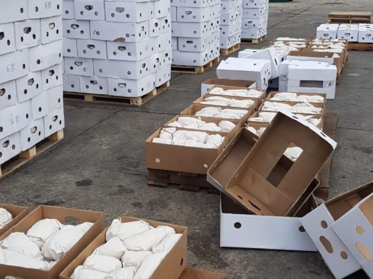 Tres toneladas de ñame, cultivado por excombatientes, fueron exportadas a Europa
