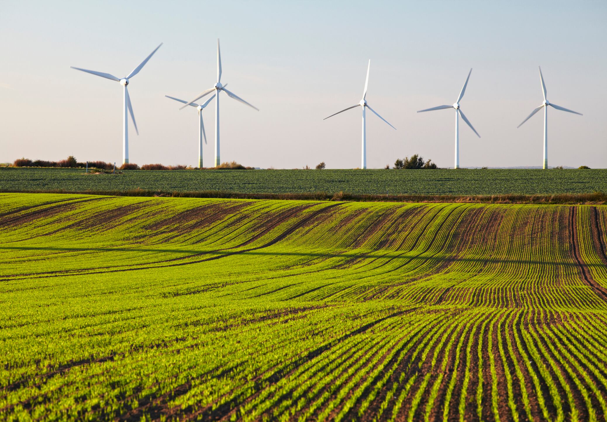  Transición Energética / Getty Images