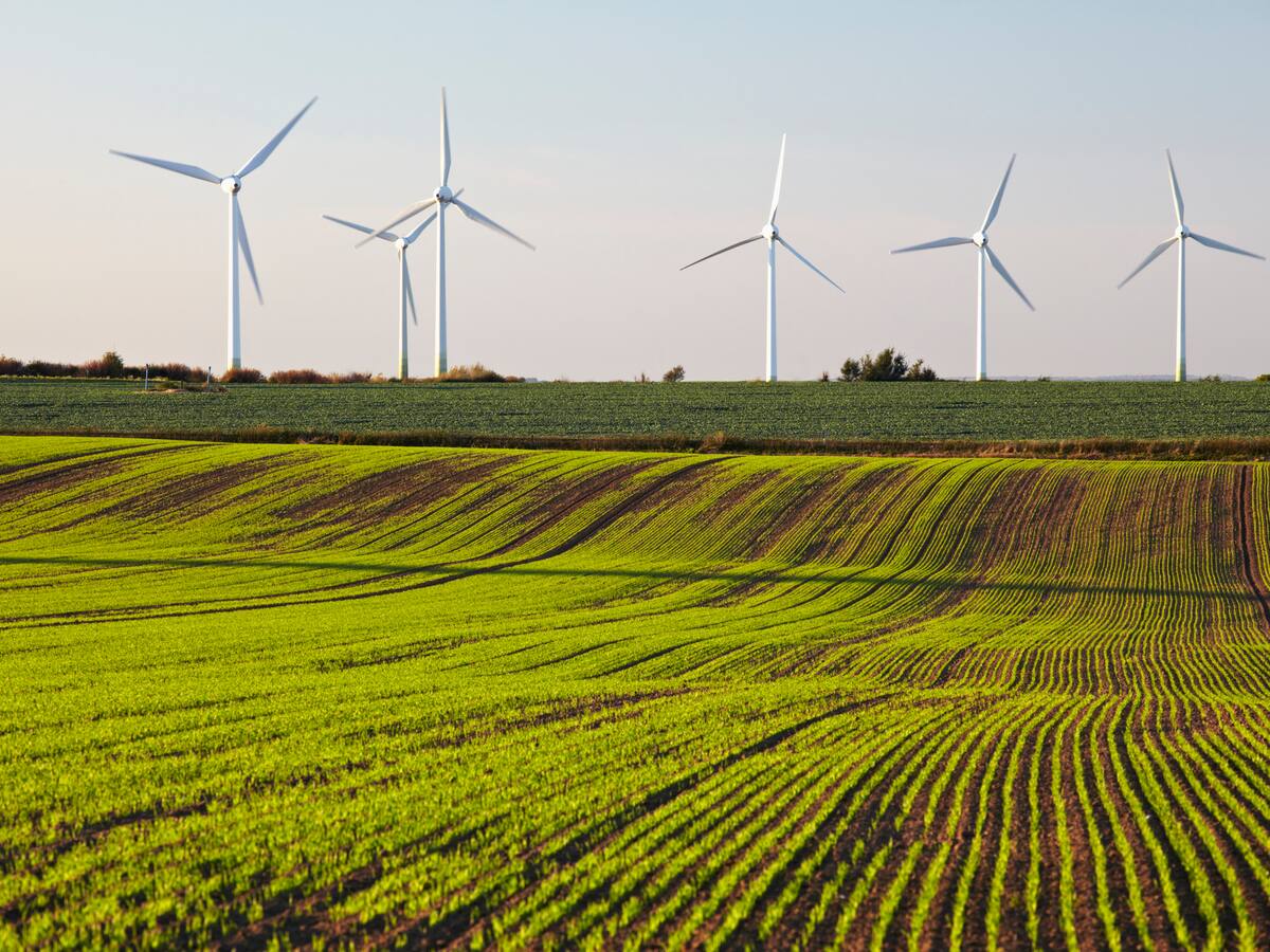 CAF destinará USD 40.000 millones para impulsar el crecimiento verde