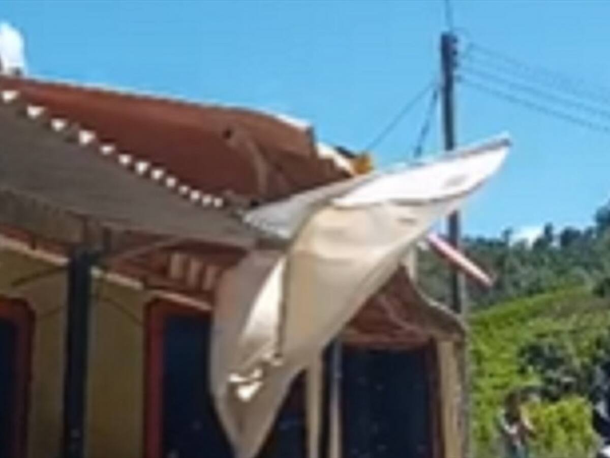 Combates y amenazas a líderes generan máxima alerta en Argelia, Cauca