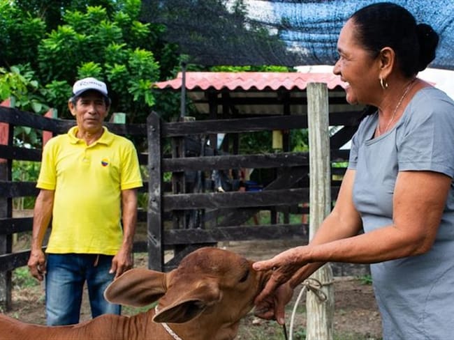 Los campesinos piden al nuevo gobierno de Colombia, posesionado el pasado 7 de agosto, que les cumpla las promesas que les hizo el Estado. Foto: Agencia Anadolu