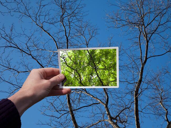 ¿Qué esperan del futuro los colombianos?