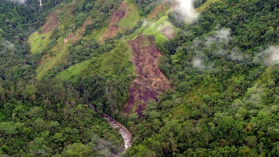 En zona de reclutamientos en la Sierra Nevada, reportan la desaparición de un caficultor. Foto: Colprensa