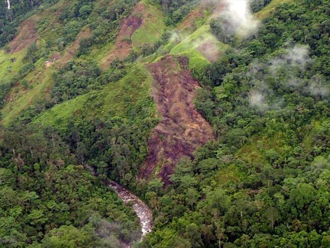 En zona de reclutamientos en la Sierra Nevada, reportan la desaparición de un caficultor. Foto: Colprensa