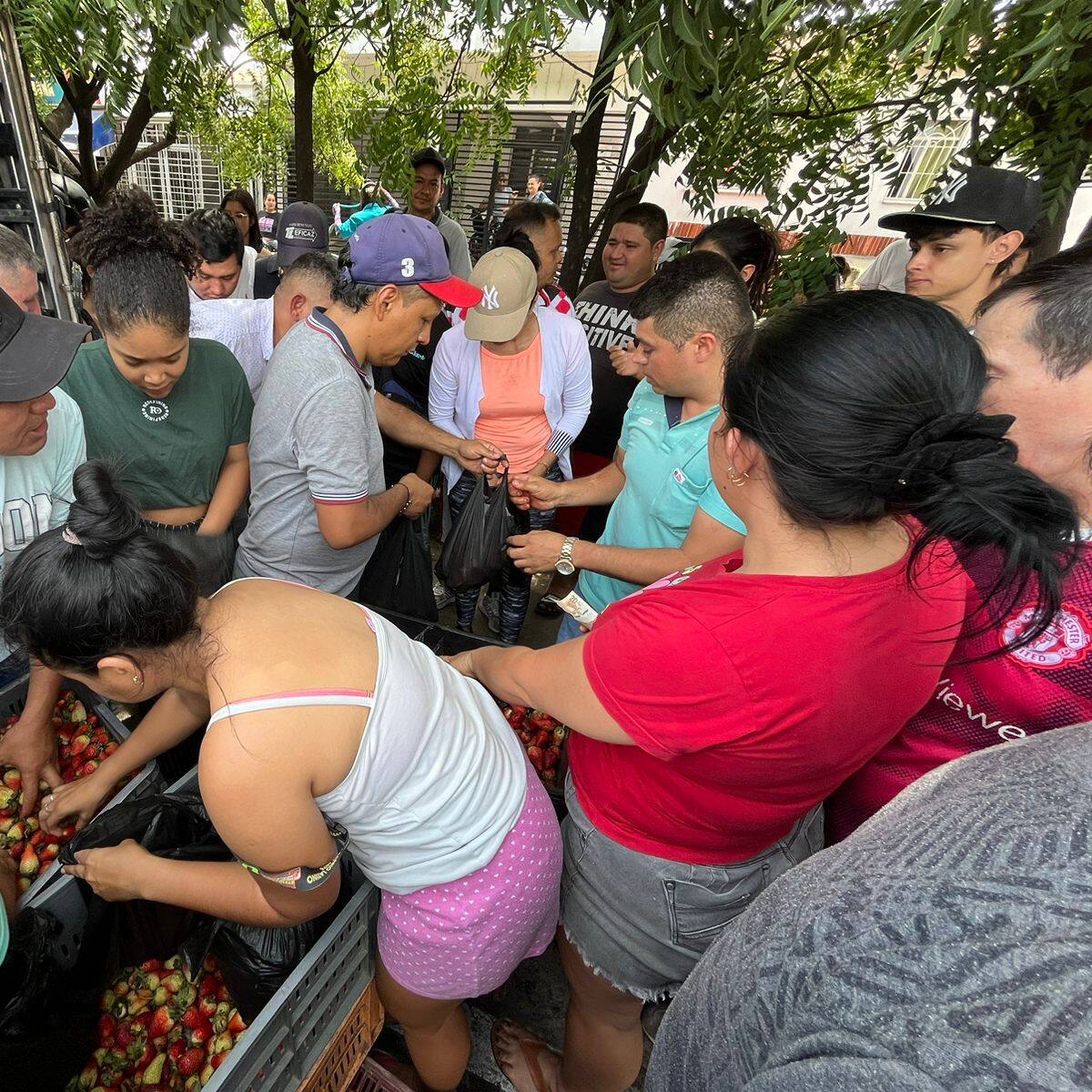 Agricultores están rematando sus productos en Norte de Santander