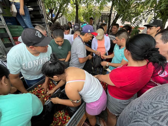 Remate de fresas en Betania. / Foto: Wl Radio Cúcuta.