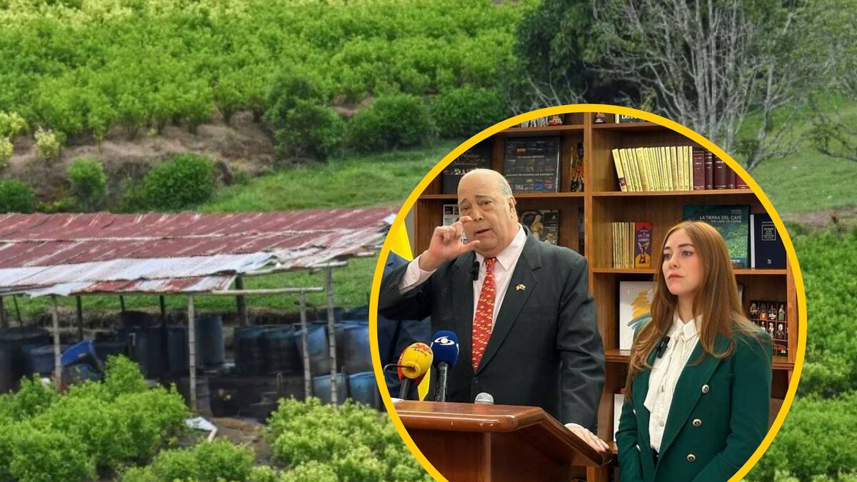 ¿Perderá Colombia la certificación antidrogas? Congresistas cuestionan estrategia del Gobierno