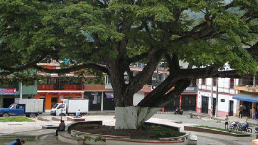 Landázuri/ suministrada