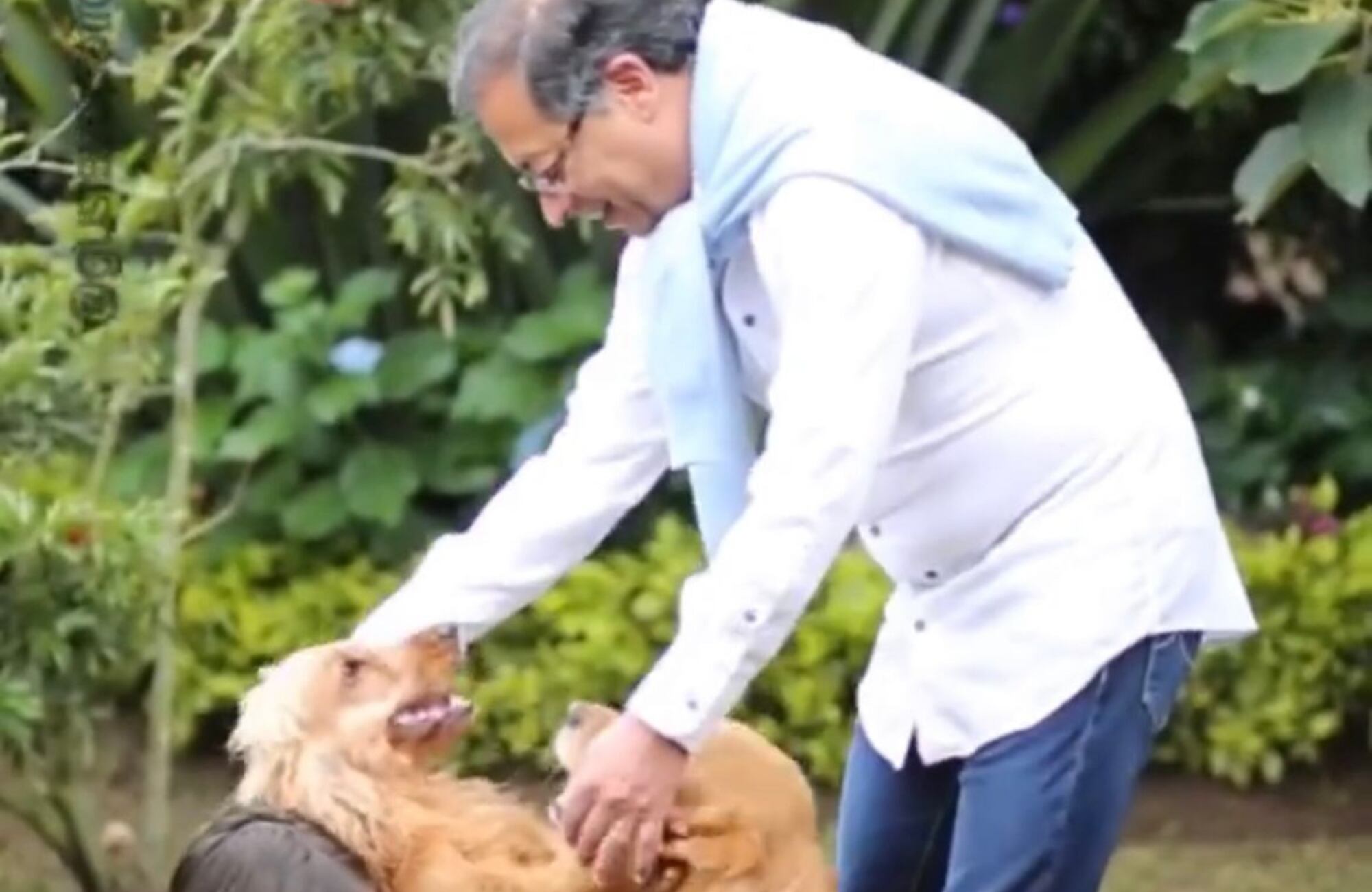Phillipe, el perro presidencial