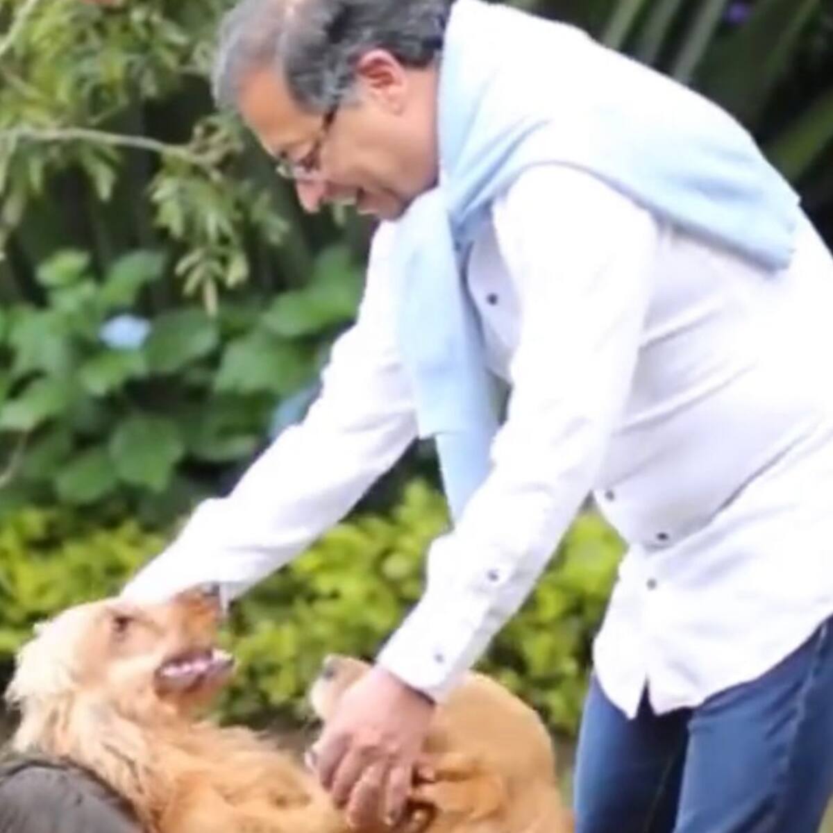 Phillipe, el perro presidencial, se encuentra hospitalizado