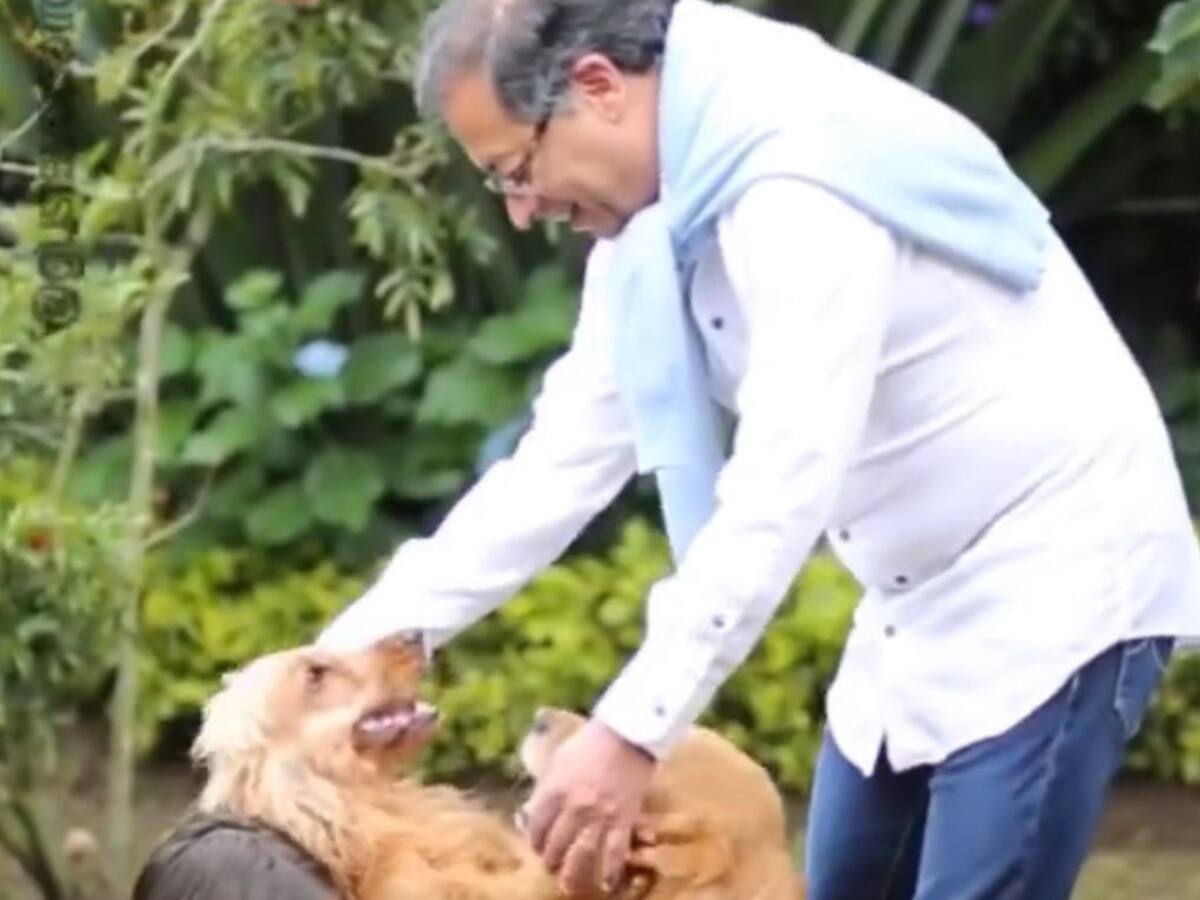 Phillipe, el perro presidencial, se encuentra hospitalizado