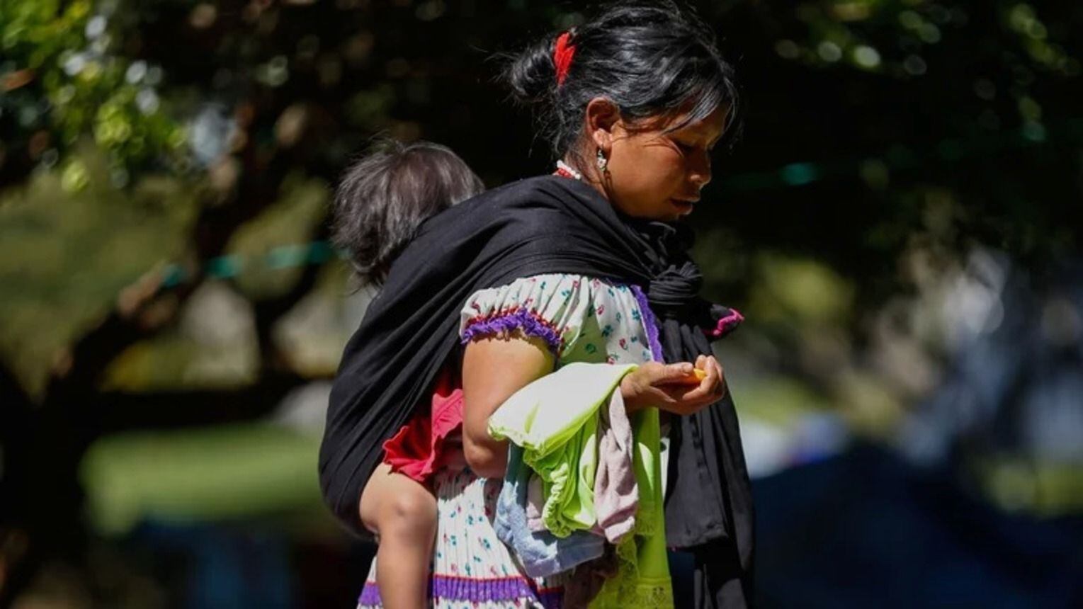 Regreso de indígenas desplazados a sus resguardos / Foto: Colprensa