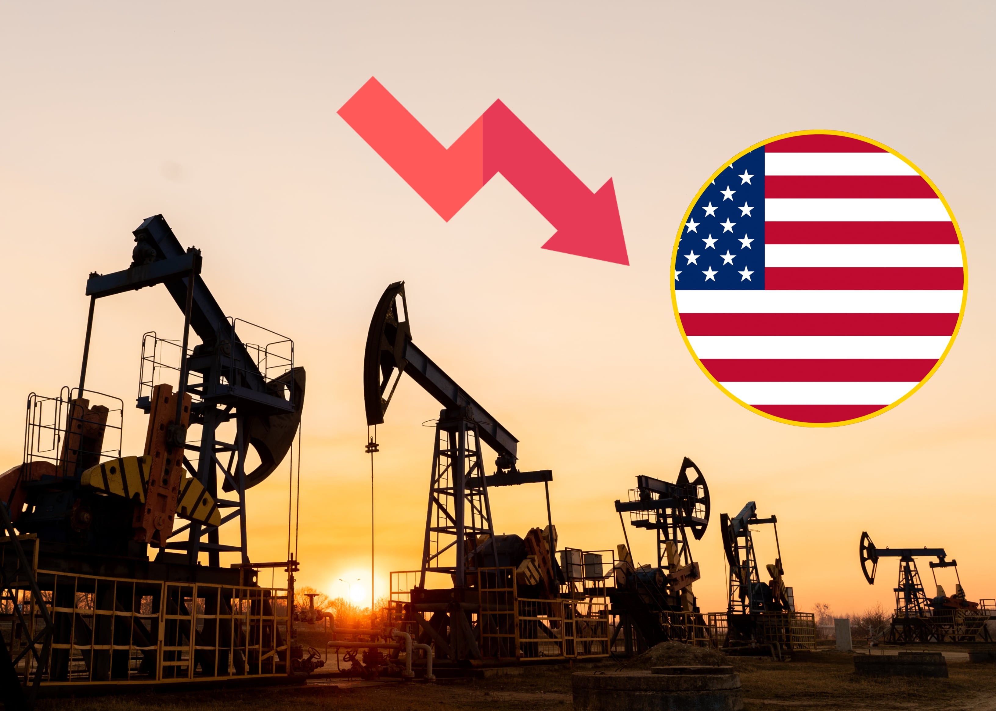 Gato bomba: Imagen de referencia /Getty Images