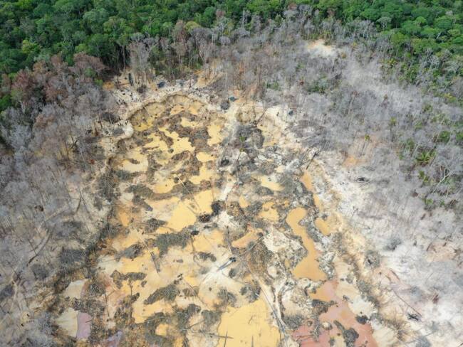 Fuerzas Militares desmantelan mina ilegal que depredaba las selvas de Guainía: Foto: Cortesía Fuerzas Militares