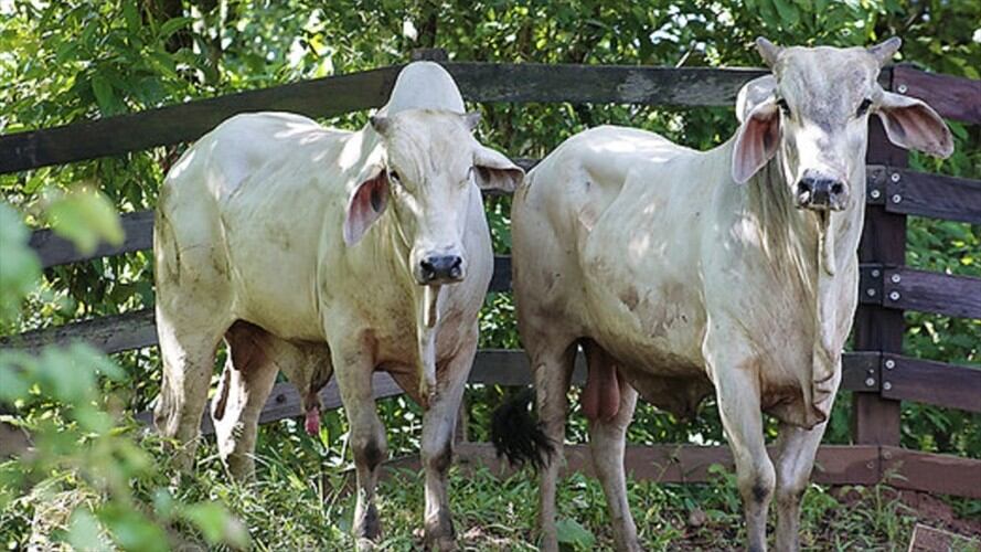 Imagen de referencia. Foto: Colprensa