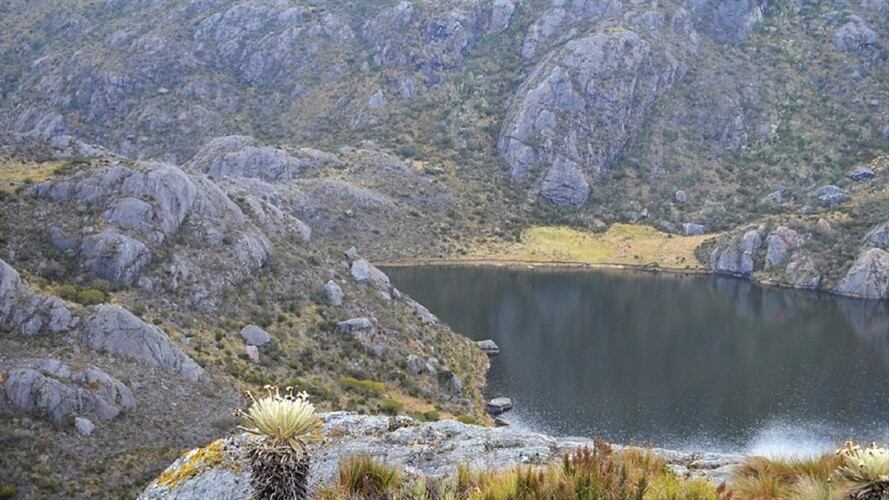 Páramo de Santurbán . Foto:suministrada.